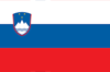Slovenya Vizesi